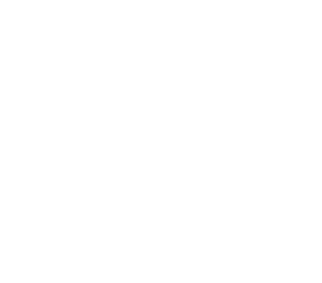 Icon Dock Drohne